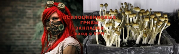 кокс Алексеевка
