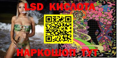 шишки Свободный