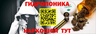 шишки Свободный