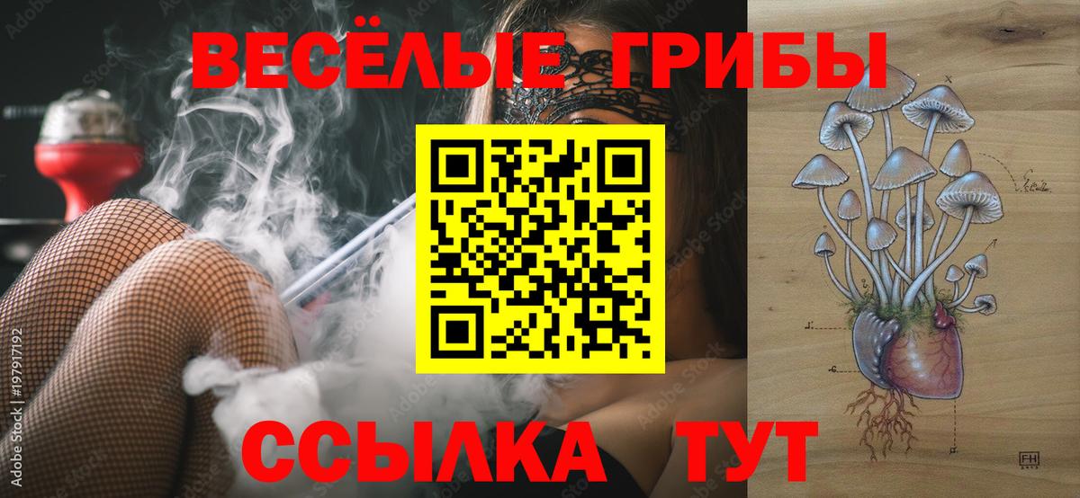 Чайковский  купить наркотики цена  Вход с VPN  Псилоцибиновые грибы ЛСД  Псилоцибиновые грибы ЛСД 
